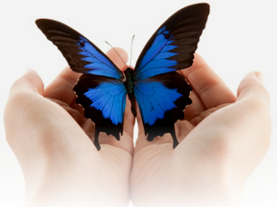 Borboleta Azul - Blue Butterfly